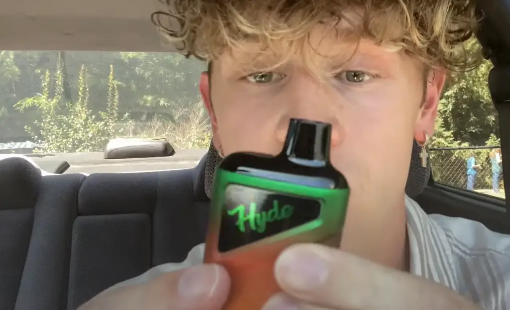 What’s In Hyde Disposable Vape?